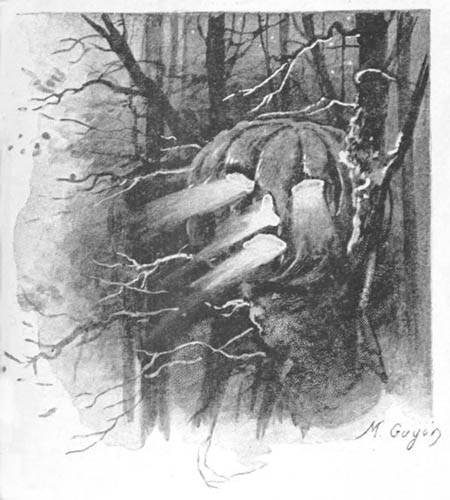 Citrouille sculptée Illustration: Citrouille sculptée