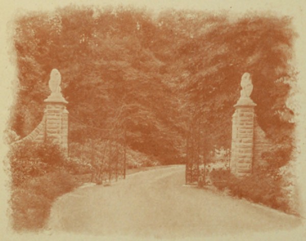 a well-kept driveway a well-kept driveway