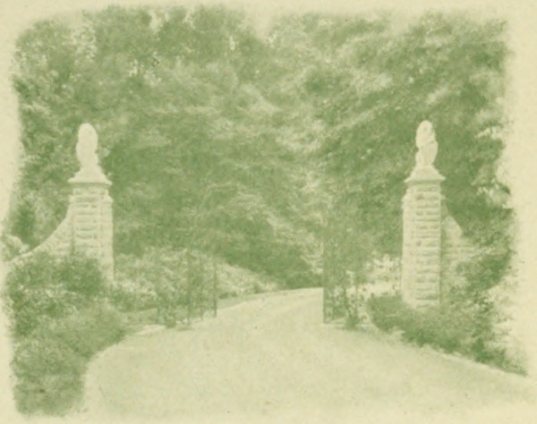 a well-kept driveway a well-kept driveway