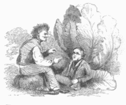 taking a seat under the shade of a cabbage taking a seat under the shade of a cabbage