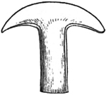 Fig. 44.