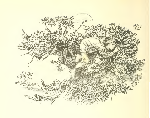 If the sun could tell us