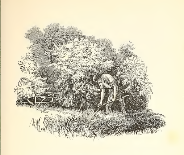 There is but one May