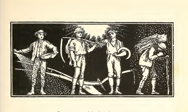 January cold desolate